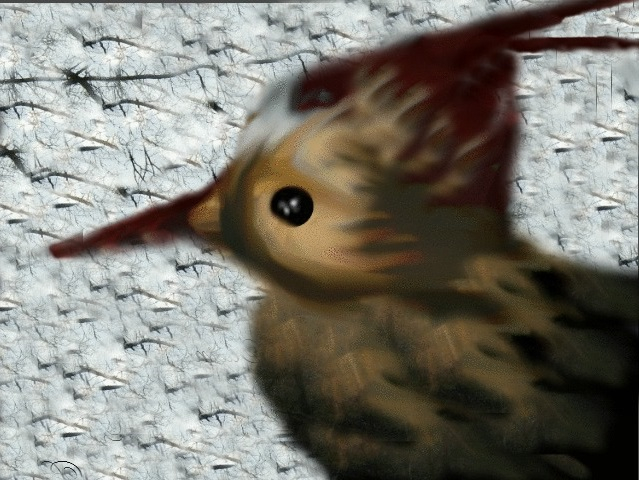 Kibitz