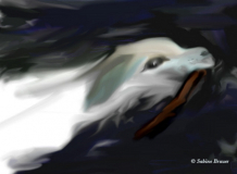 Stöckchen aus dem Wasser holen