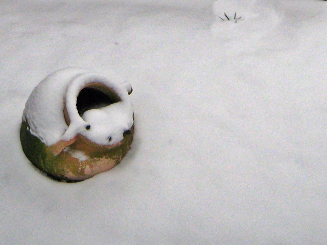Krug im Schnee