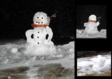 Schneefräuleins  Ende klein
