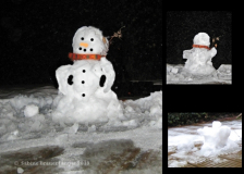 Schneefräuleins  Ende