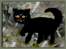 Schwarze Katze