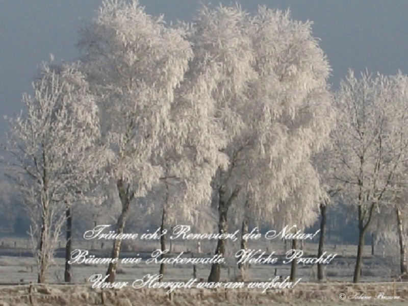 Zuckerwatteträume