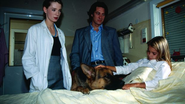 Der Hund kann der kleinen Birgit helfen!