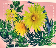 Löwenzahn mal anders