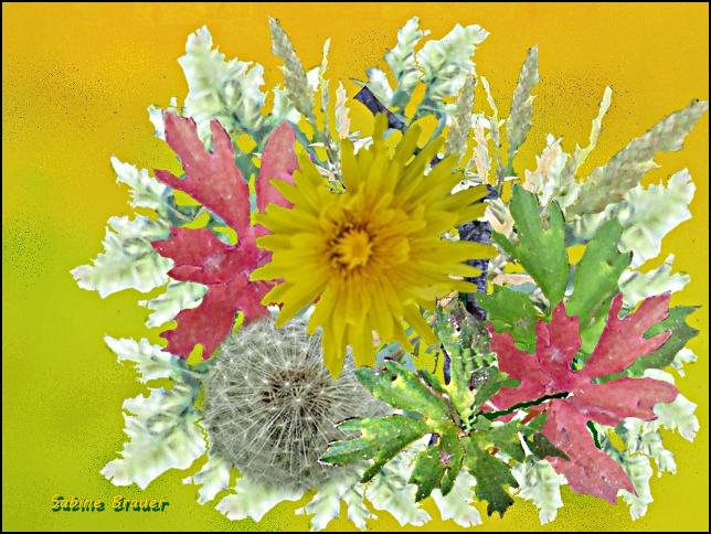 Wildblumen