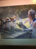 Die Lieblingshunde ihrer Majestät