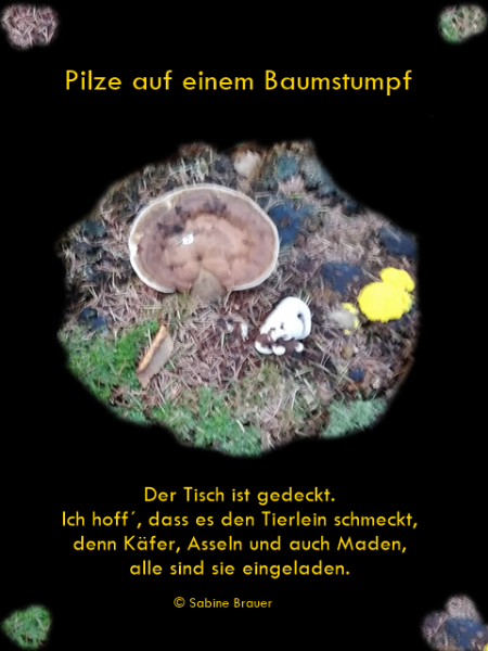 Der Tisch ist gedeckt